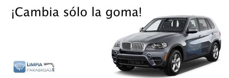 Limpiaparabrisas BMW X5 2007-2013